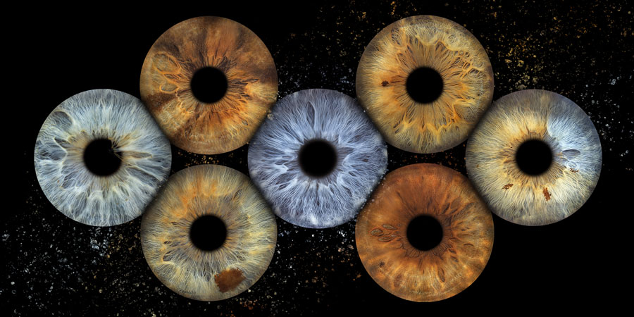 iris galerie montreal.jpg
