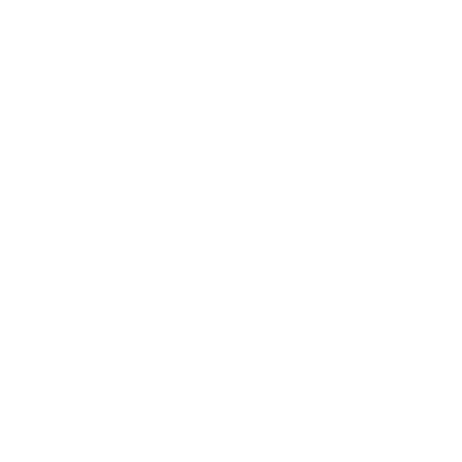 icon camera.png