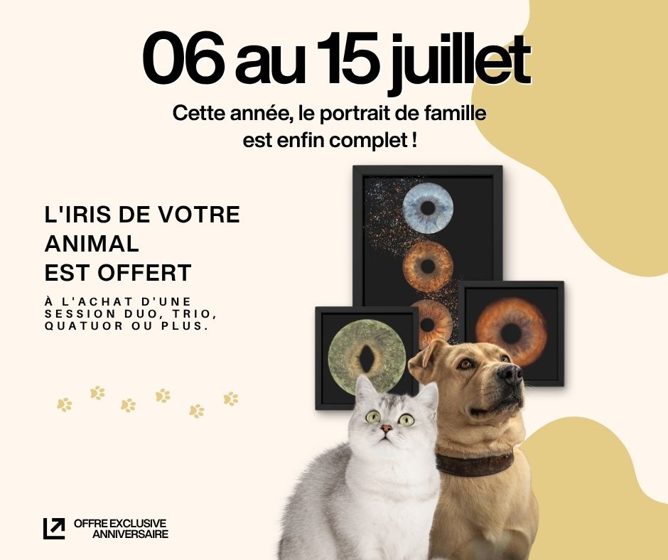 photo of an iris and animals